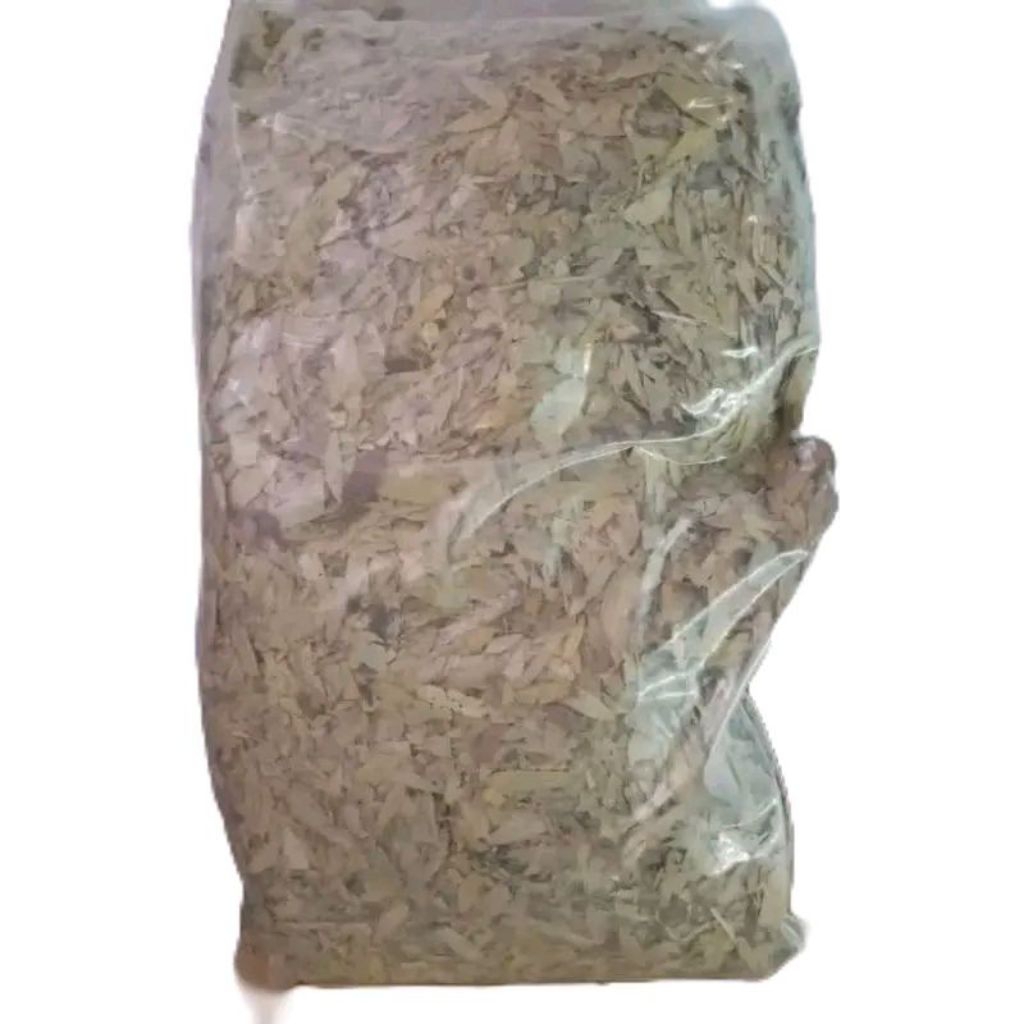 

Daun Jati China Teh Daun Jati China