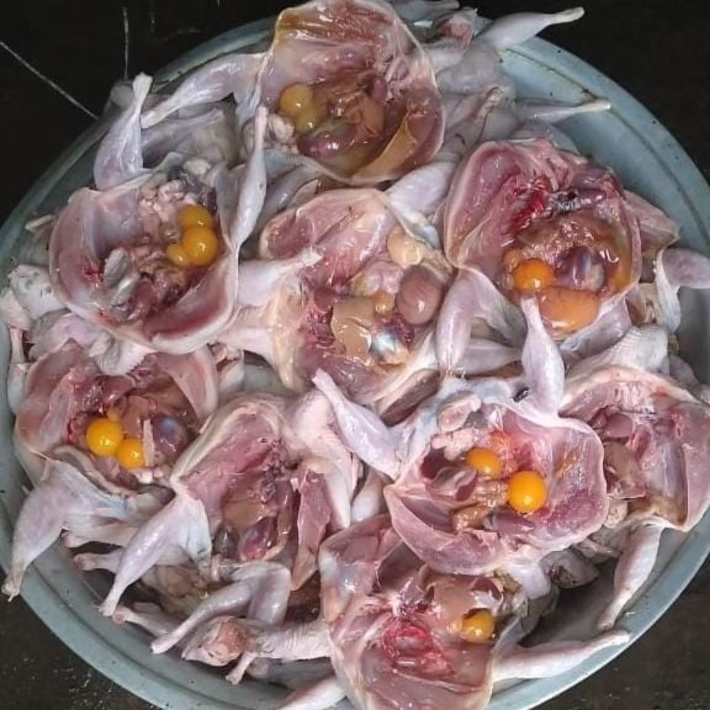 

Burung Puyuh Fres Frozen Berat 155-175 1 pack isi 10