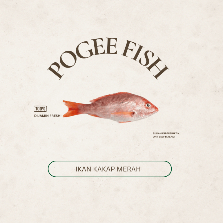 

KHUSUS MALANG - PogeeFish Ikan Kakap Merah Lokal Segar ( Sudah Dibersihkan Insang) | Ikan Segar | Ikan Laut Fresh |Ikan Segar Malang