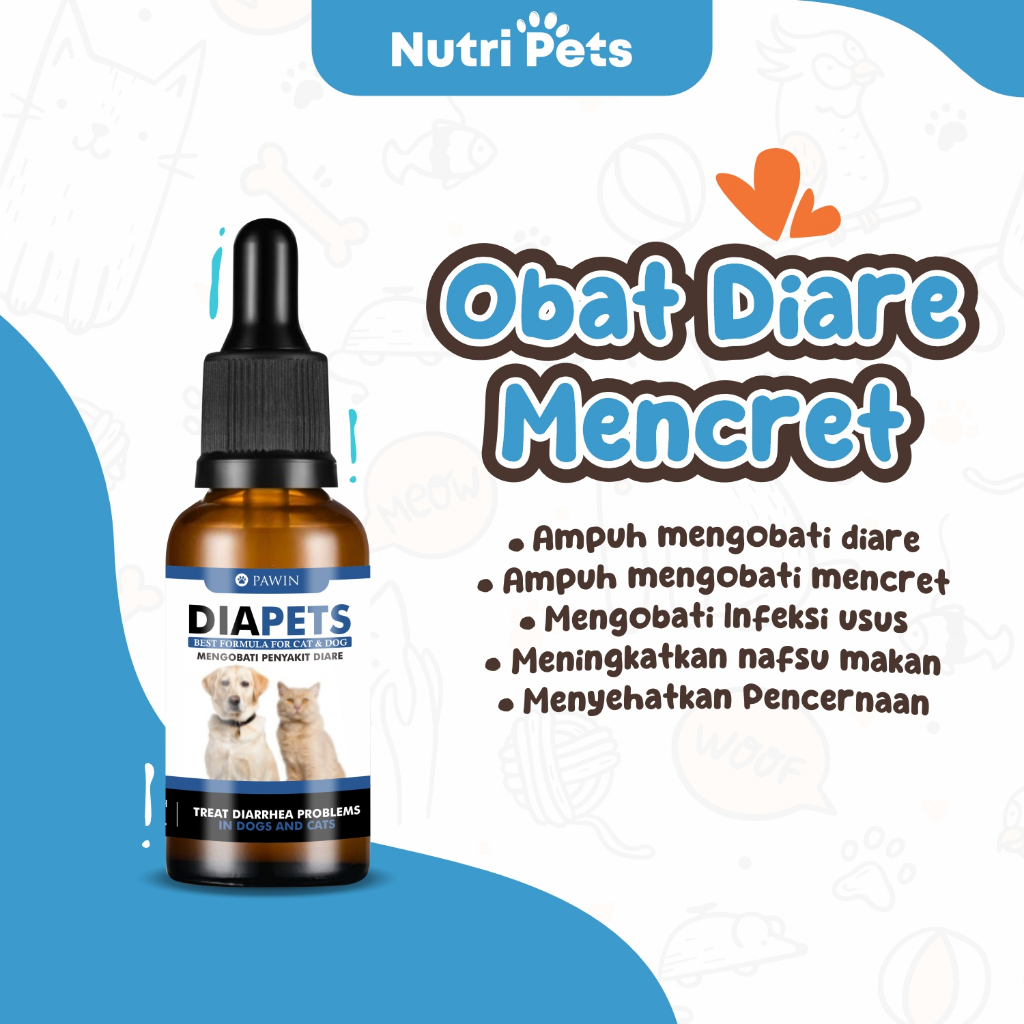 Obat Diare Mencret Muntah Anjing Kucing Masalah Saluran Pencernaan