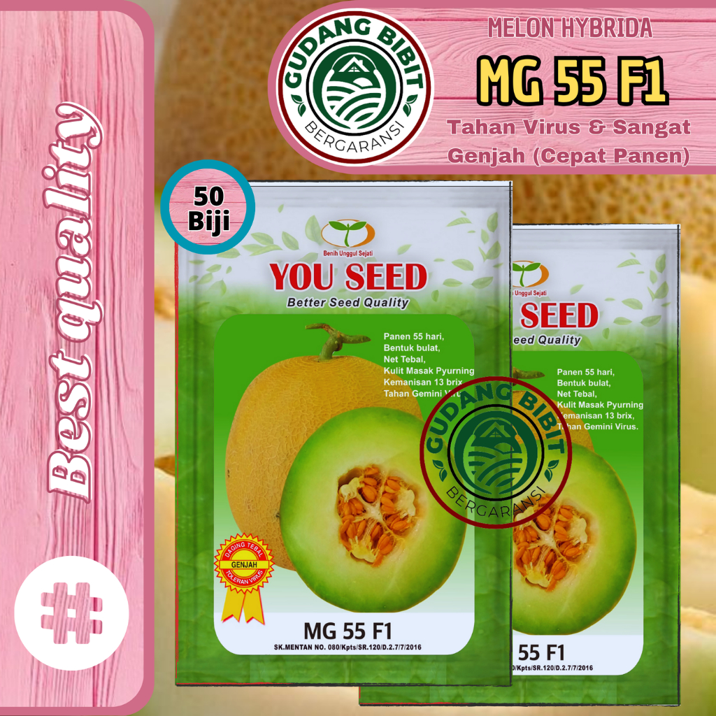 Benih Bibit Melon Madu Tahan Virus MG 55 f1 50 Biji Cap You Seed Genjah