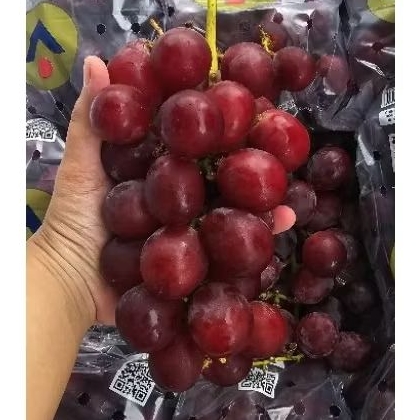 

Anggur Red Globe Peru 500gr