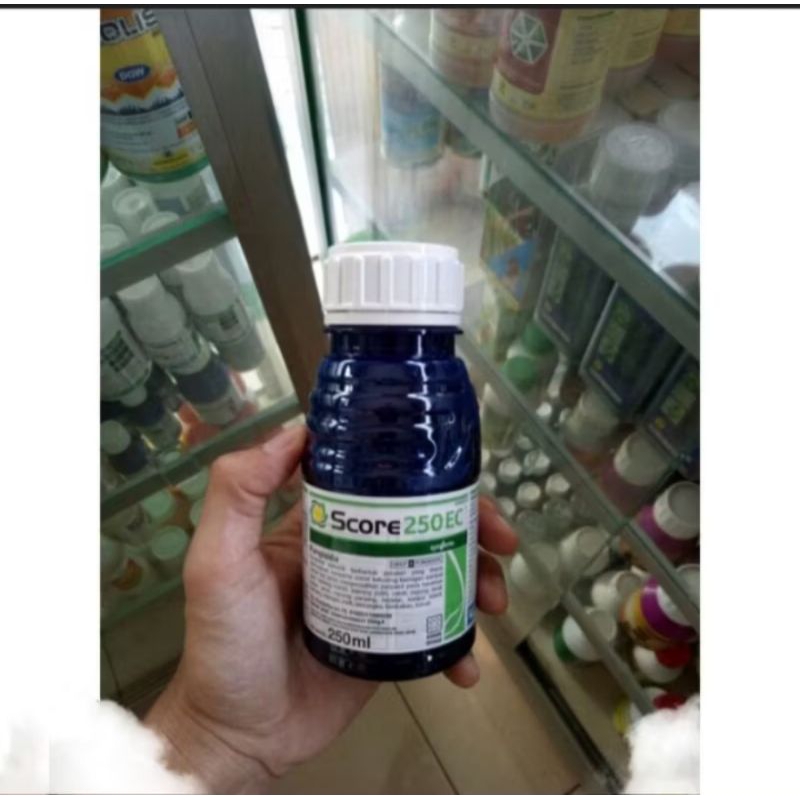Score 250 ml