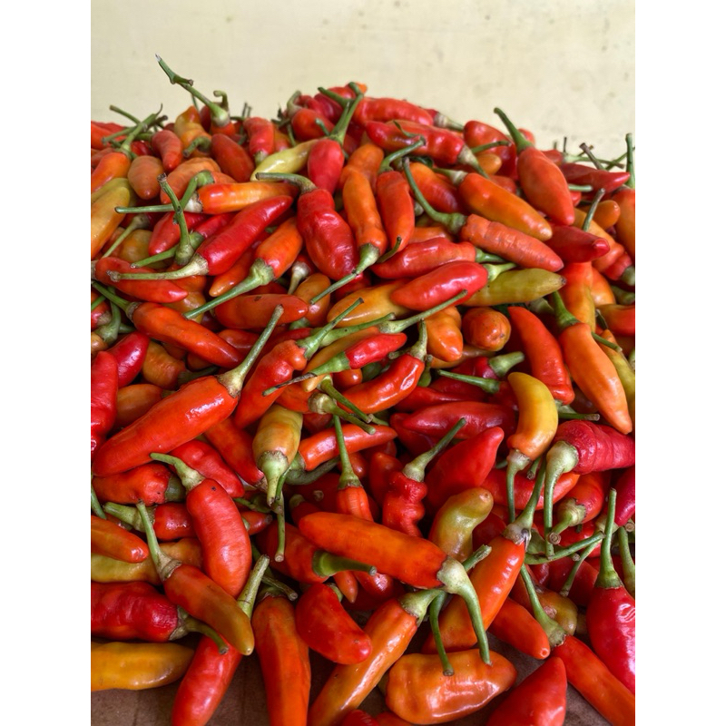 

CABAI RAWIT ORI berat 1 kg