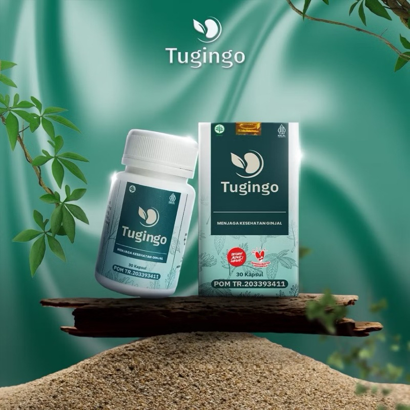 Tugingo Obat Herbal Batu Ginjal Tugingo 30 Kapsul Original BPOM