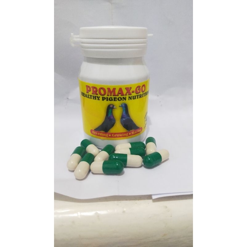 Vitamin burung merpati Juara