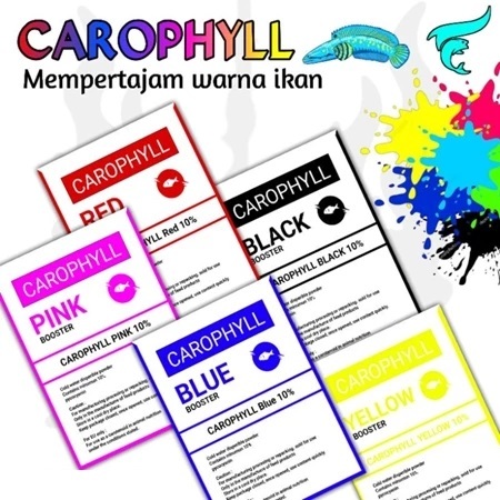 Carophyll / Karopil / Carophyl warna Red, blue, yellow, pink x astaxanthin, lucantin
