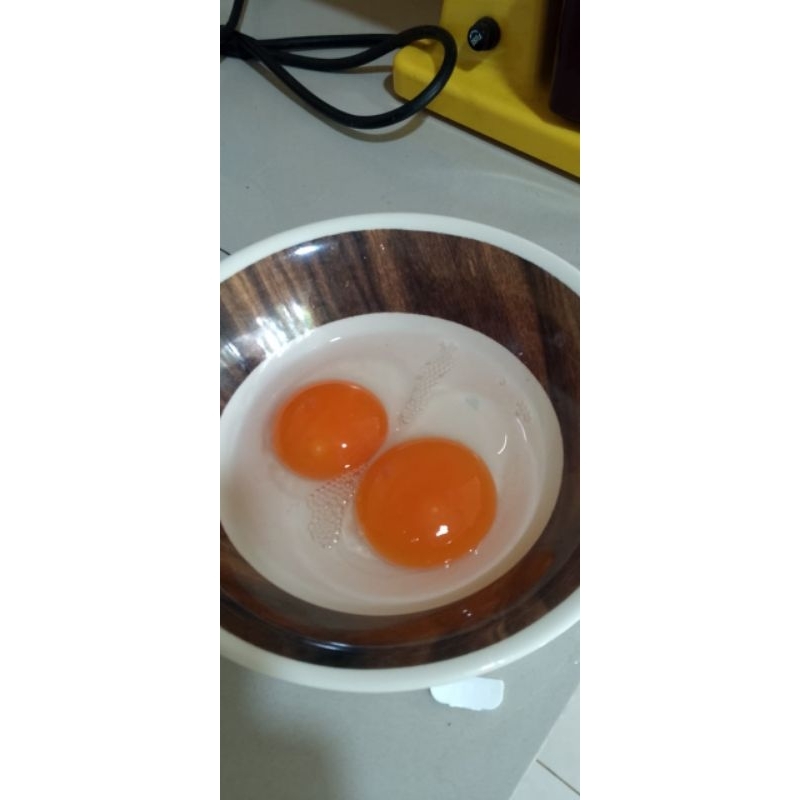 

TELUR BEBEK OMEGA
