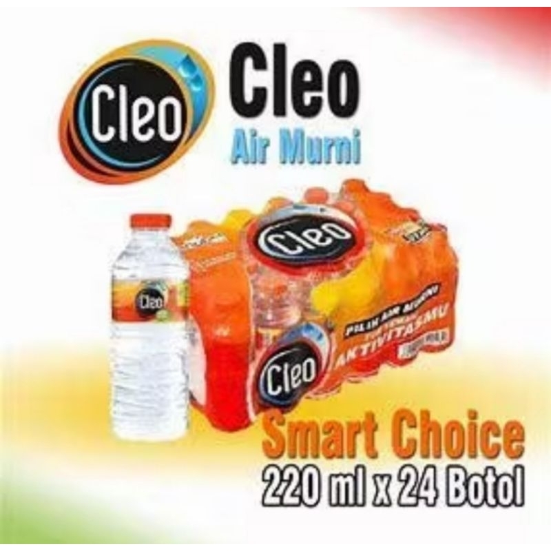 

Cleo Air Mineral Kemasan 220 ml (1 Pack isi 24 botol)