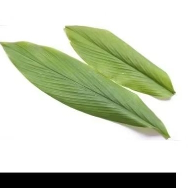 

daun kunyit 5 lembar