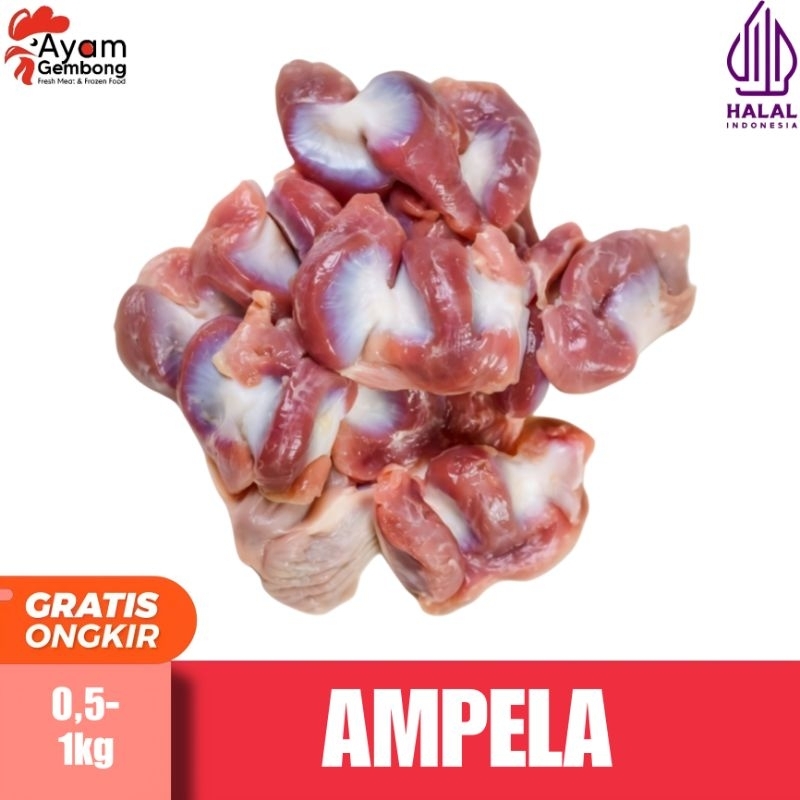 

AMPELA BERSIH AYAM BOILER TERMURAH 1kg