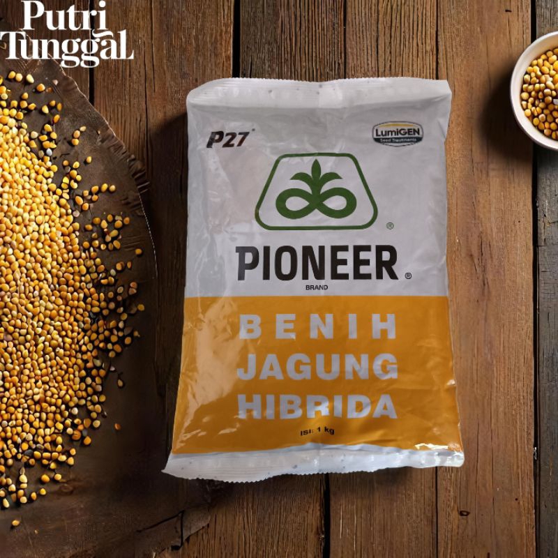 P27 Lumigen benih jagung Pioneer