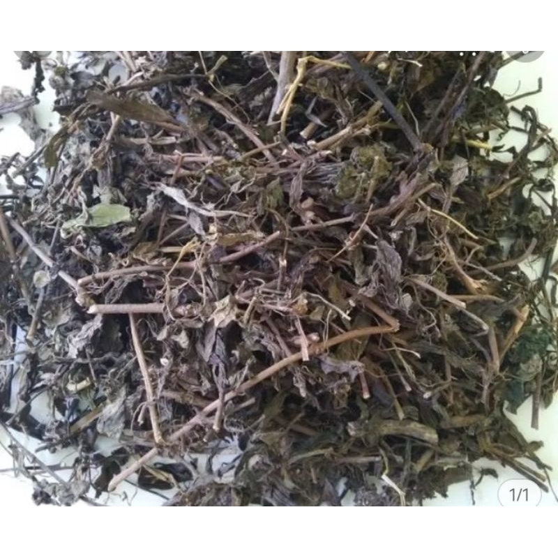 

jual daun kering kumis kucing 50g