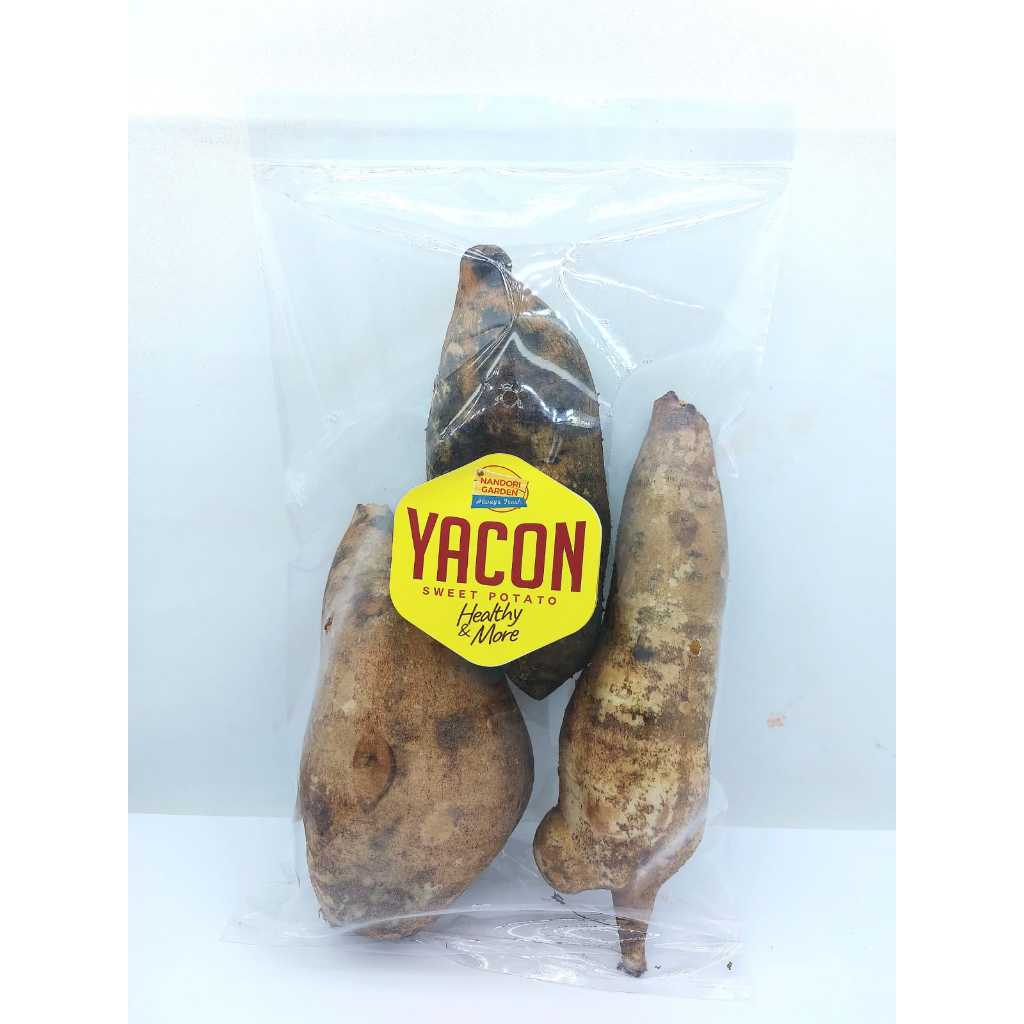 

RB [VIRAL] Ubi Manis YAKON/ YACON Segar Premium