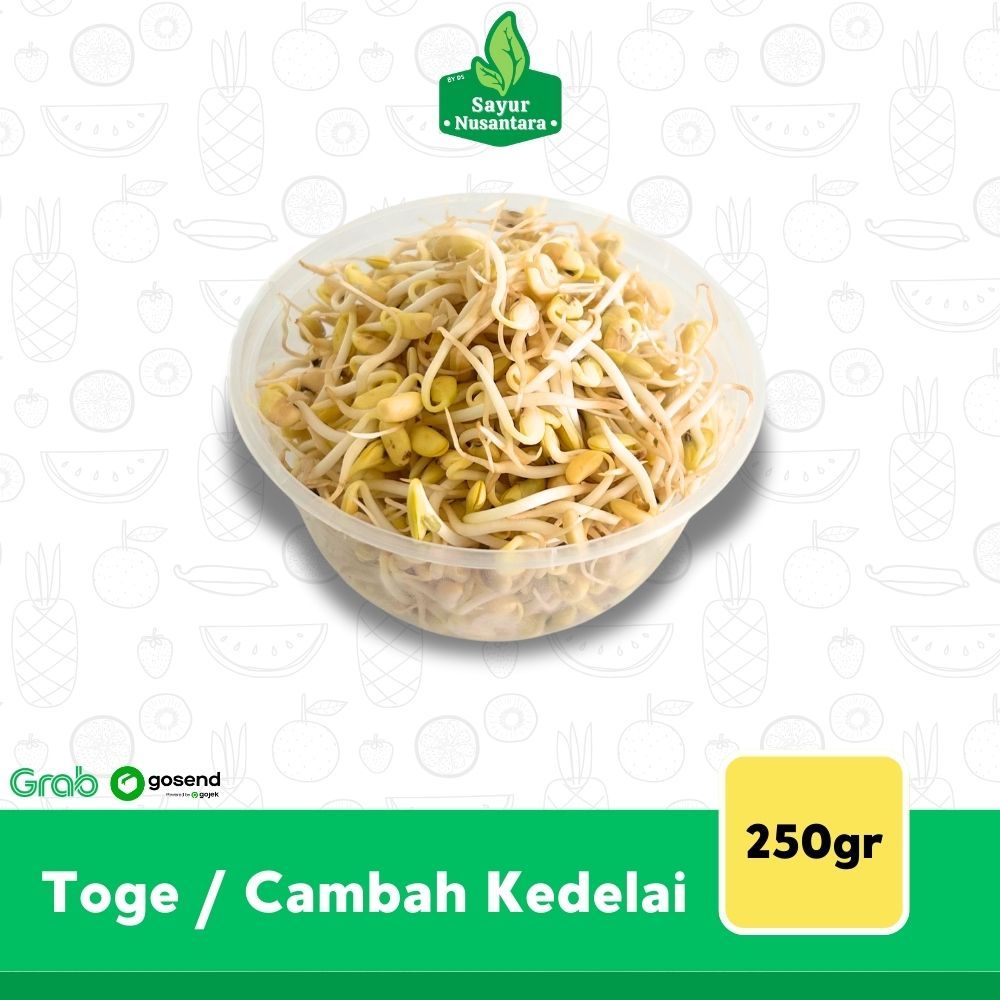

Toge/Cambah Kedelai 250gr - Sayur Nusantara