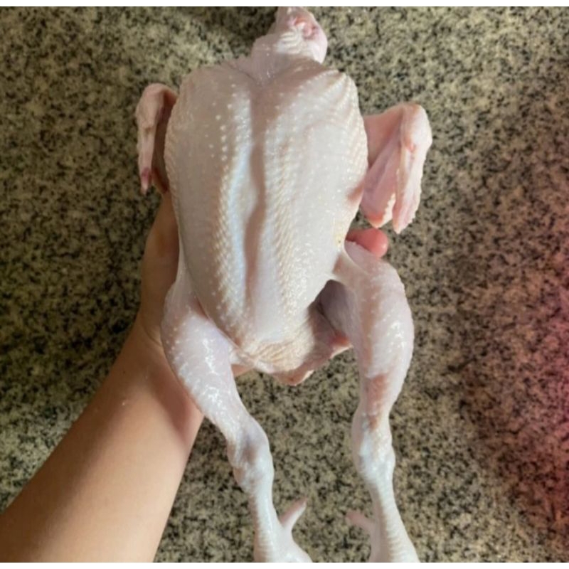 

1 ekor ayam (berat ±700-800 gram)