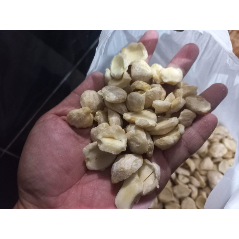 

Kemiri Bulat Top dan keping, Harga Per Kilogram