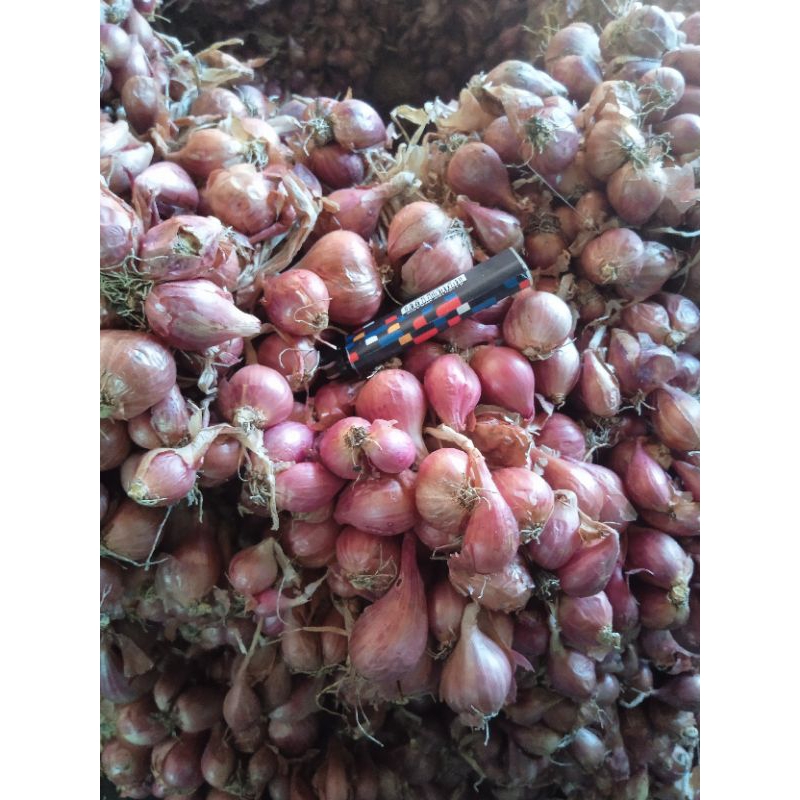 

kardus isi bawang merah