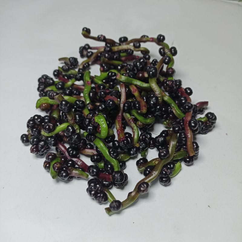 

Buah Angkung Segar Berkualitas Premium isi 500 Biji