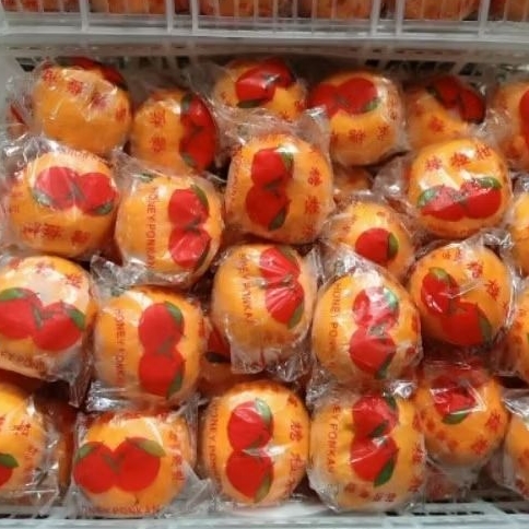 

ALID BUAH - 1 KG JERUK PONKAM (isi 7 buah)