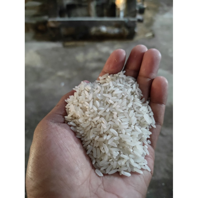 

Beras Medium Langsung dari penggilangan padi 1kg