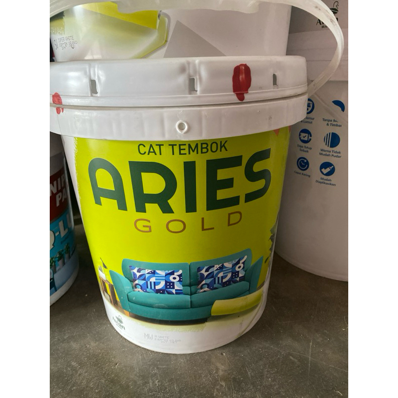 Cat Tembok Avian Aries Gold 18KG