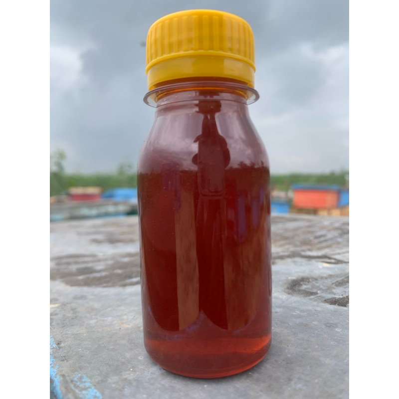 

52kg Warna Merah Madu Akasia Carpa Siak / FULL NECTAR