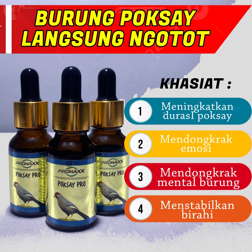 PENGGACOR PROMAXX POKSAY PRO VITAMIN AGAR POKSAY AUTO NGOTOT