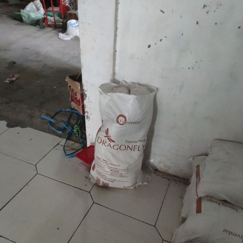 

tepung terigu dragon kemasan
