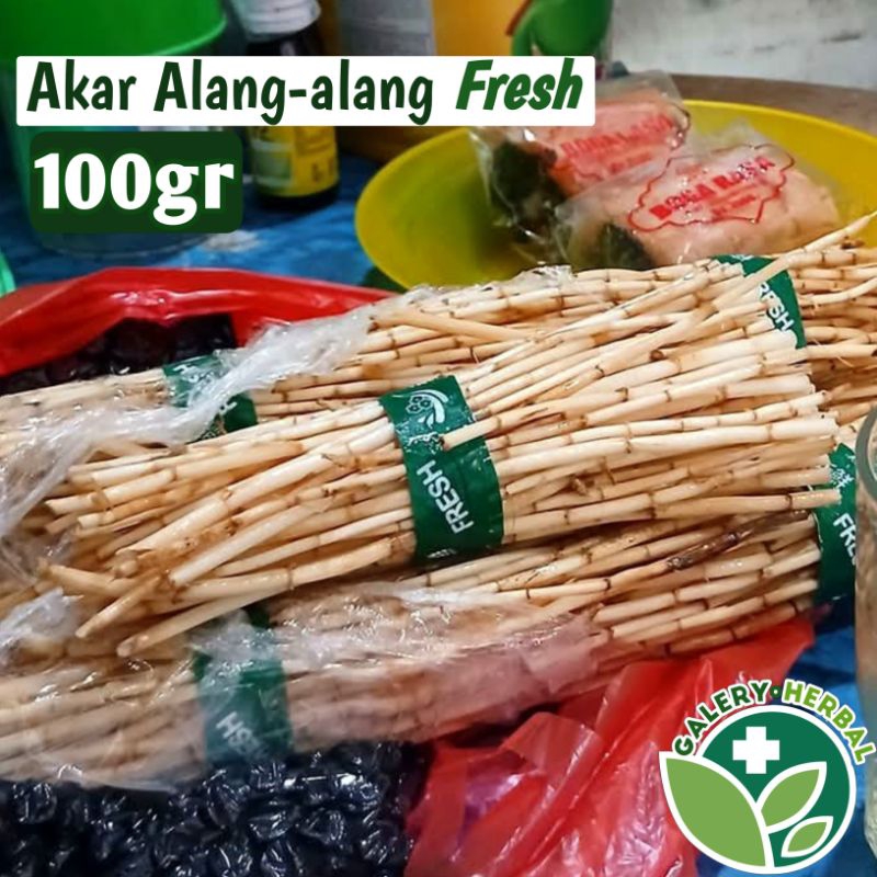 

Akar Alang-alang Fresh Bersih 100gr / Alang-alang Herbal