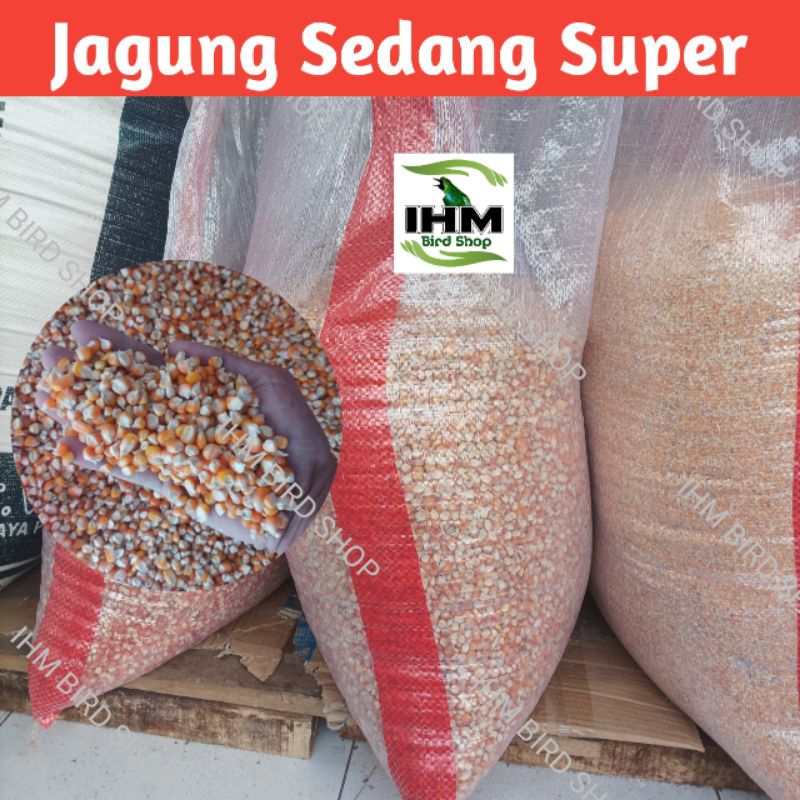 IHM - Grosir Jagung Pipil Sedang 1 Karung 25kg Pakan Unggas & Burung Jagung Kristal Pakan Ayam Jagun