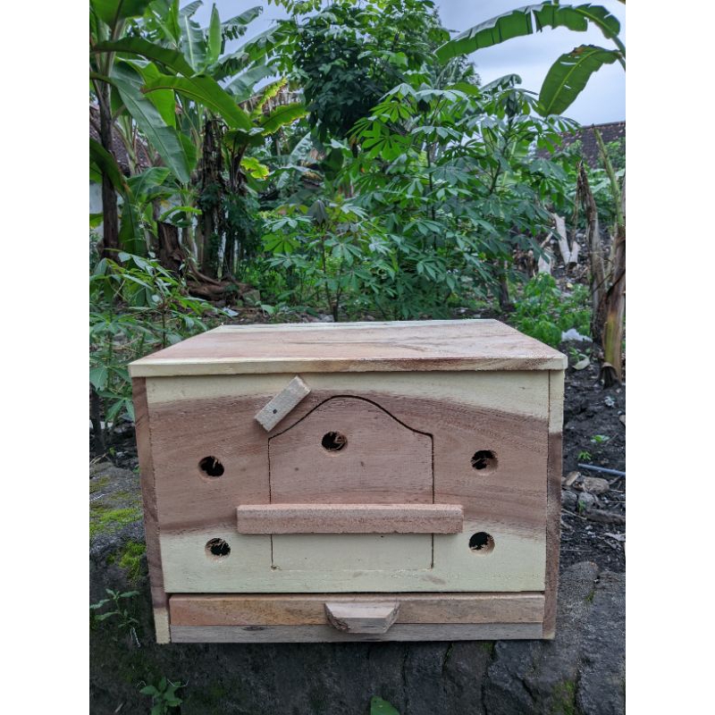 Ready Stok Gupon Motif Paten Gupon Burung Merpati Burung Dara