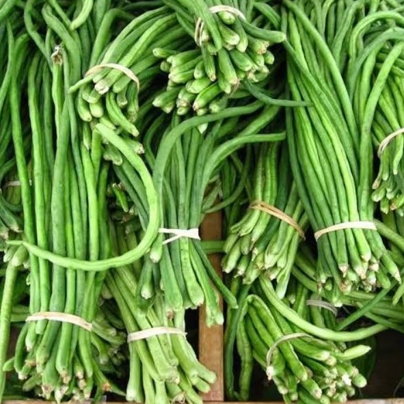 

{ 500 GRAM } Kacang panjang segar [ 1 kg } kacang panjang hijau fresh