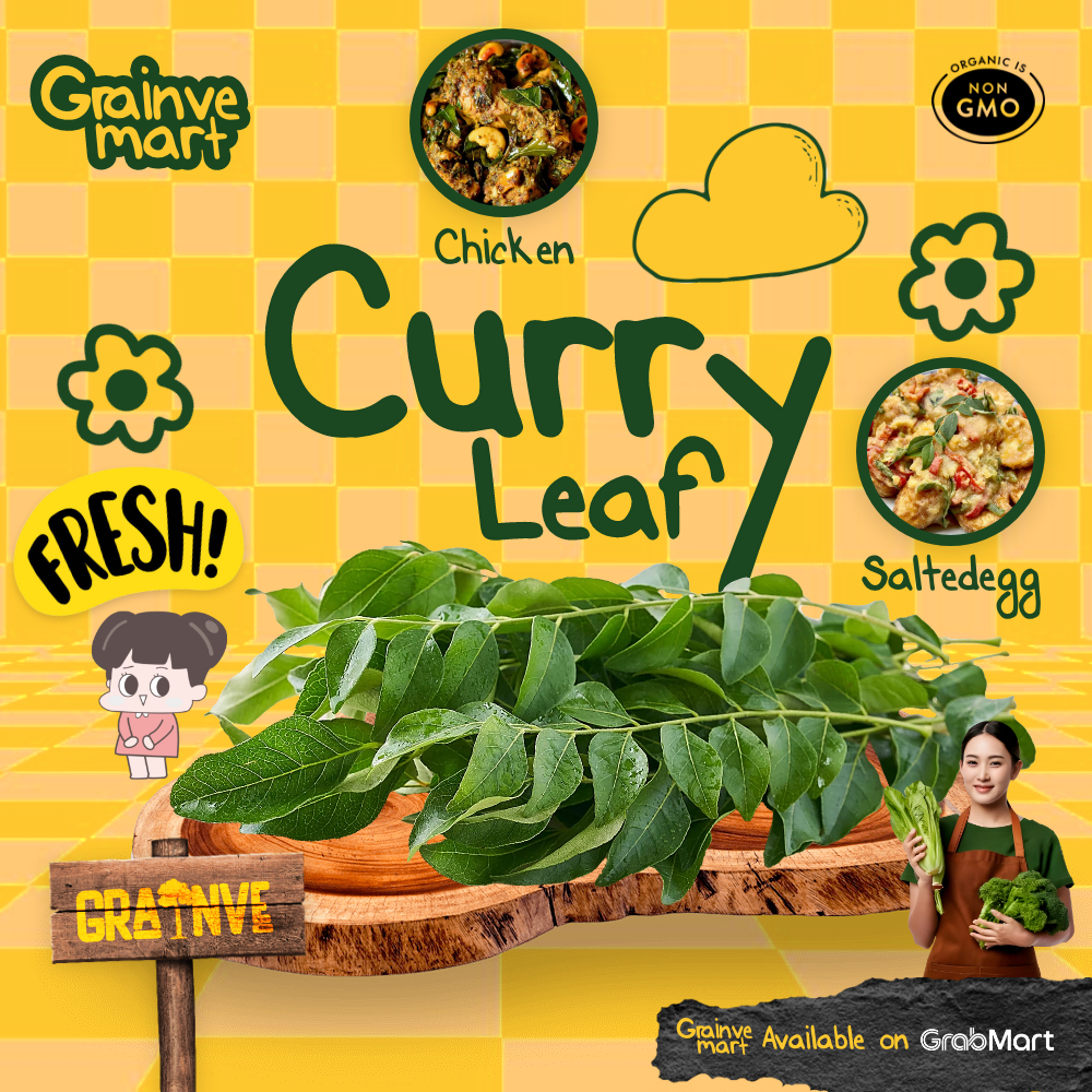 

CURRY LEAF daun kari segar rempah salam koja temurui