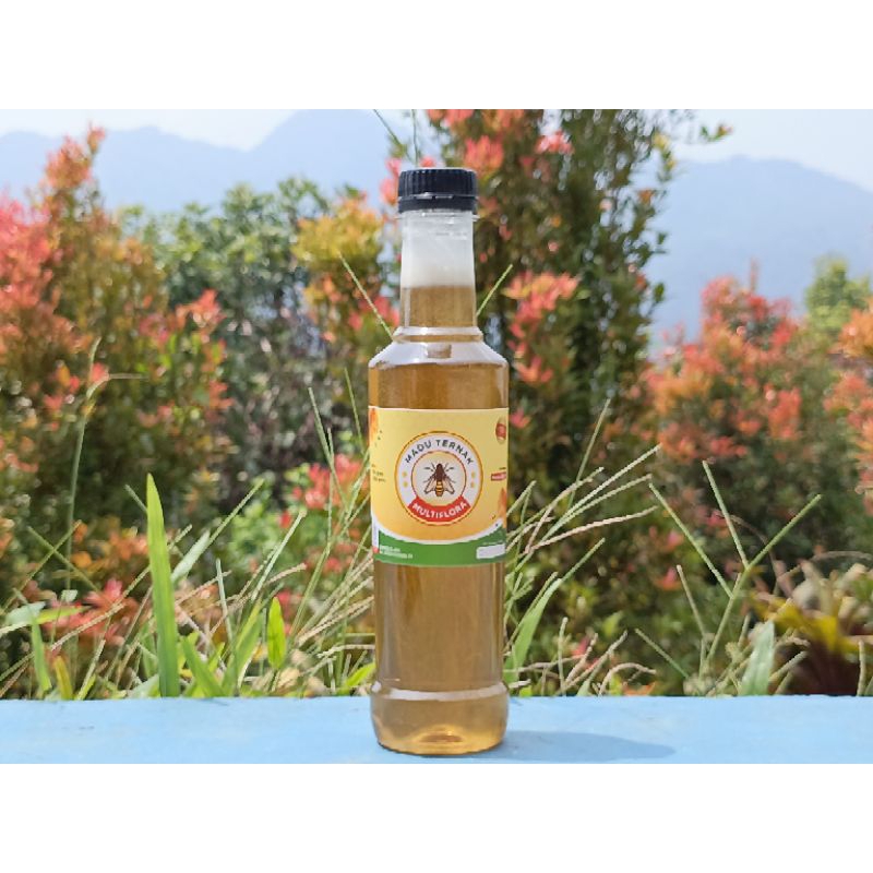 

madu multiflora ternak asli 500 gram
