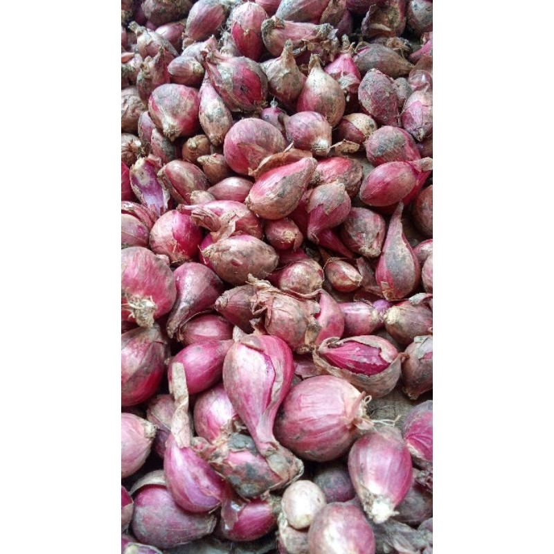 

Bawang Merah 250gr