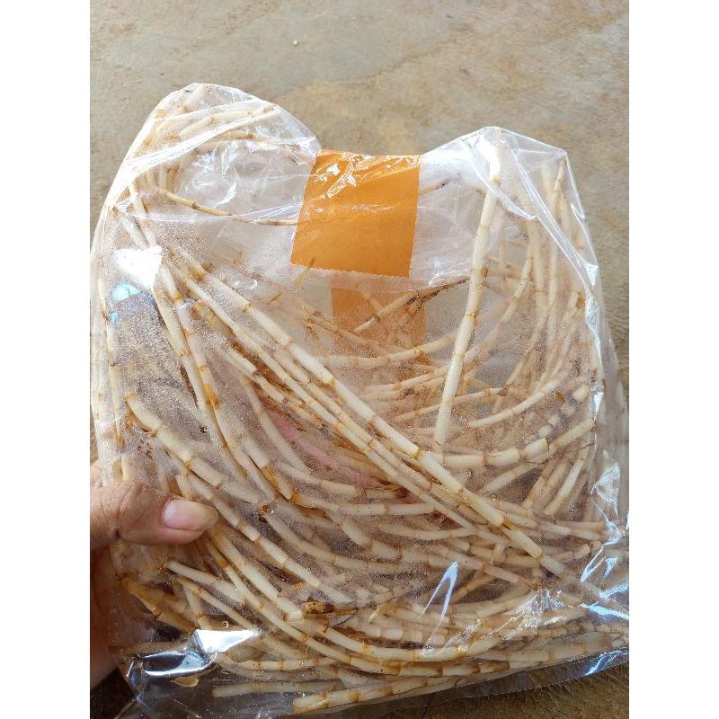 

Terbaik akar Alang-alang bersih sudah dicuci obat herbal berkhasiat 500 gram