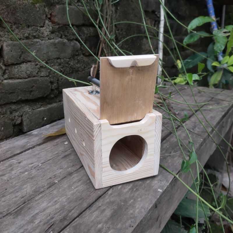 Box cod burung kicau / box burung