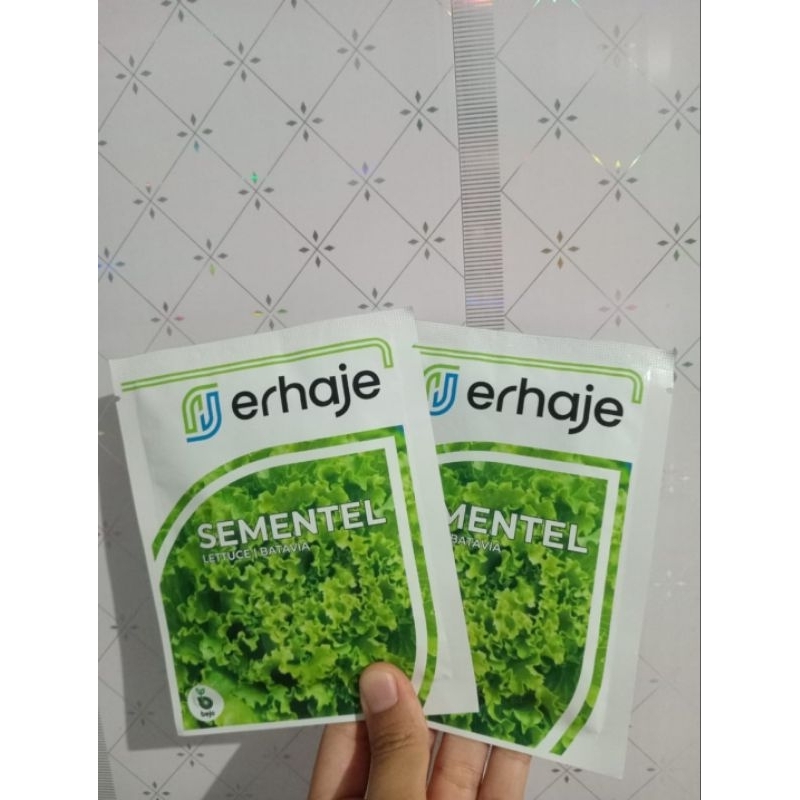 Selada Sementel Bejo Batavia Lettuce 1000 pills Kemasan Asli