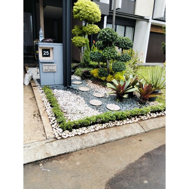 taman kering batu koral minimalis