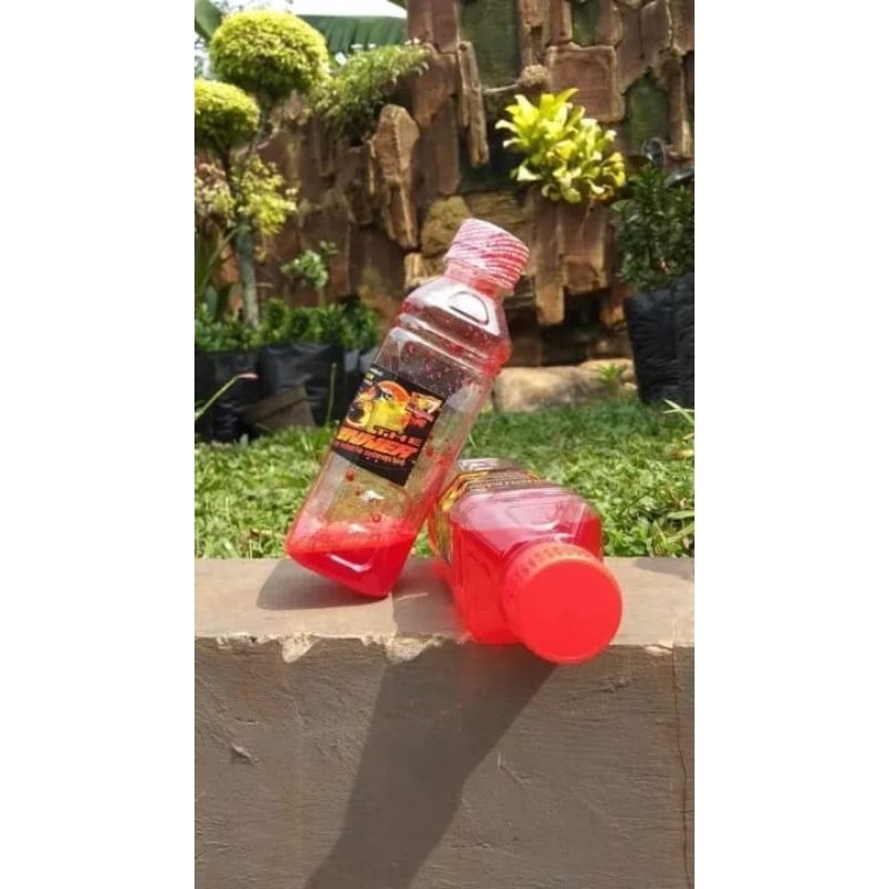 The Winner Pleci Vitamin Suplemen Multivitamin Doping Booster Penggacor Minuman Buka Paruh Burung Pl