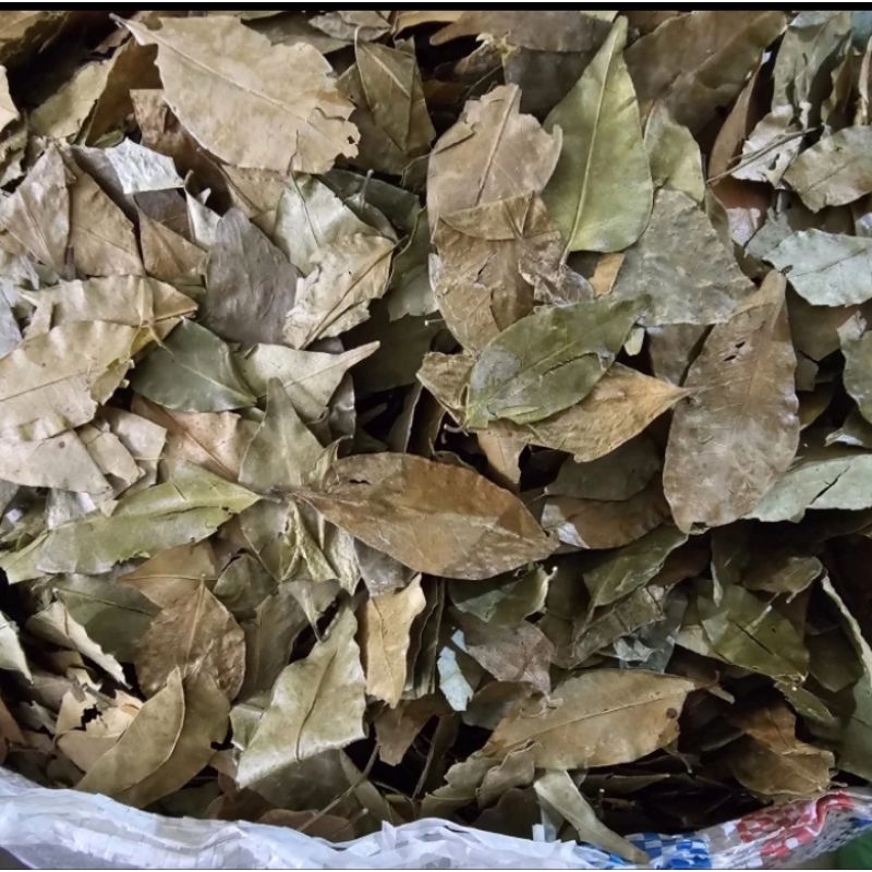 

Daun Kemuning Kering Asli Herbal 500gr