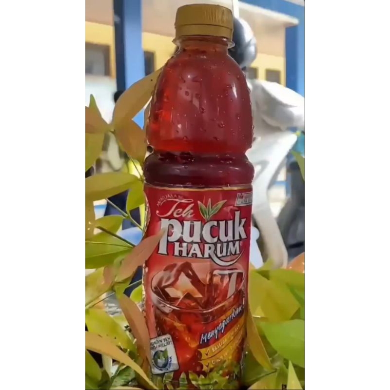 

teh pucuk