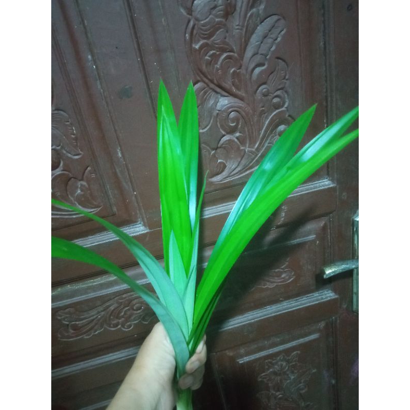 

daun pandan