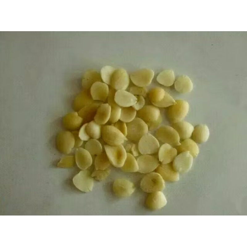 

1 KG 3 KG XING REN 杏仁 APRICOT KERNEL ALMOND SEED SEEDS