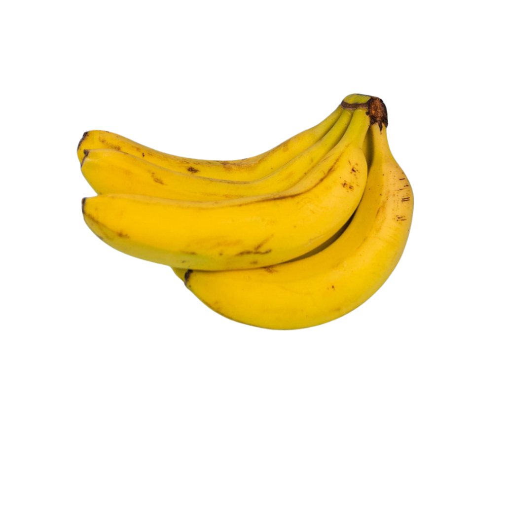 

PISANG CAVENDIS