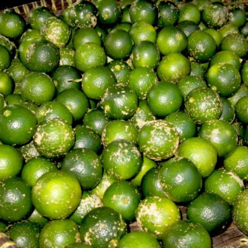 

Jeruk Sambal
