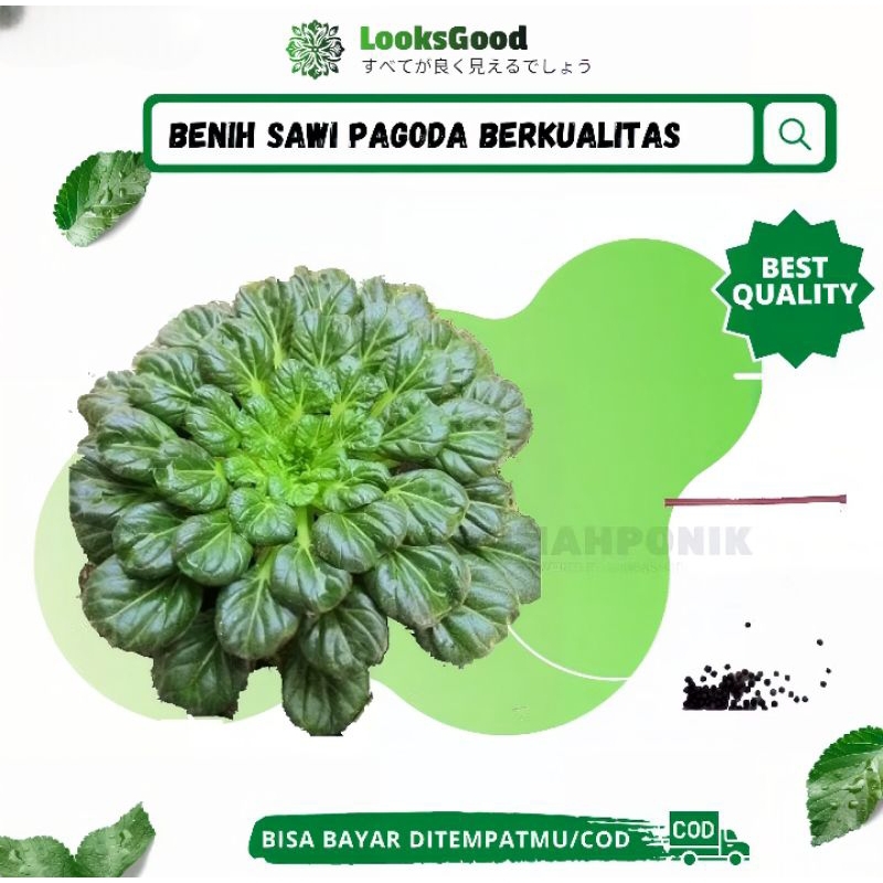 Puluhan Benih Sayuran Sawi Pagoda / Benih Pagoda / Bibit Sawi Pagoda Ta Ke Cai