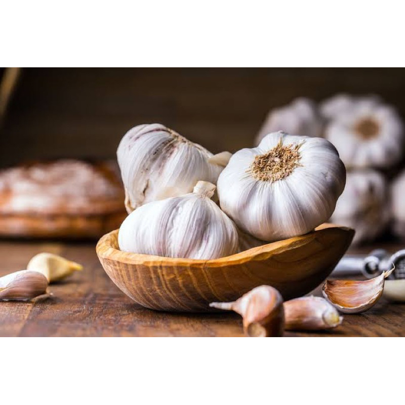 

Bawang Putih fresh 1kg
