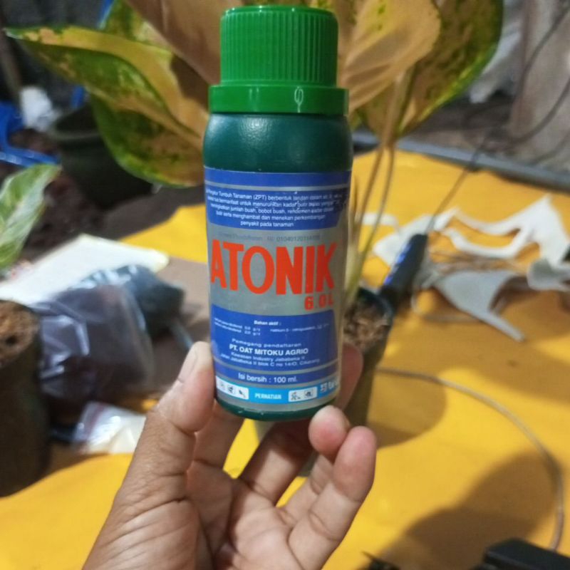 Atonik.pupuk cair